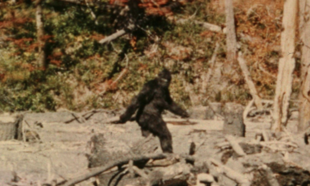 Unraveling the Mystery of Bigfoot