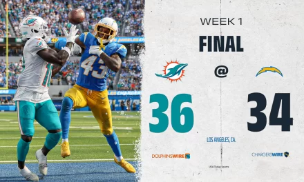 Dolphins Stage Thrilling Comeback