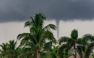 Tornado Rips Through Fort Lauderdale as Storms March Across Florida