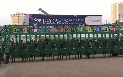 2024 Pegasus World Cup