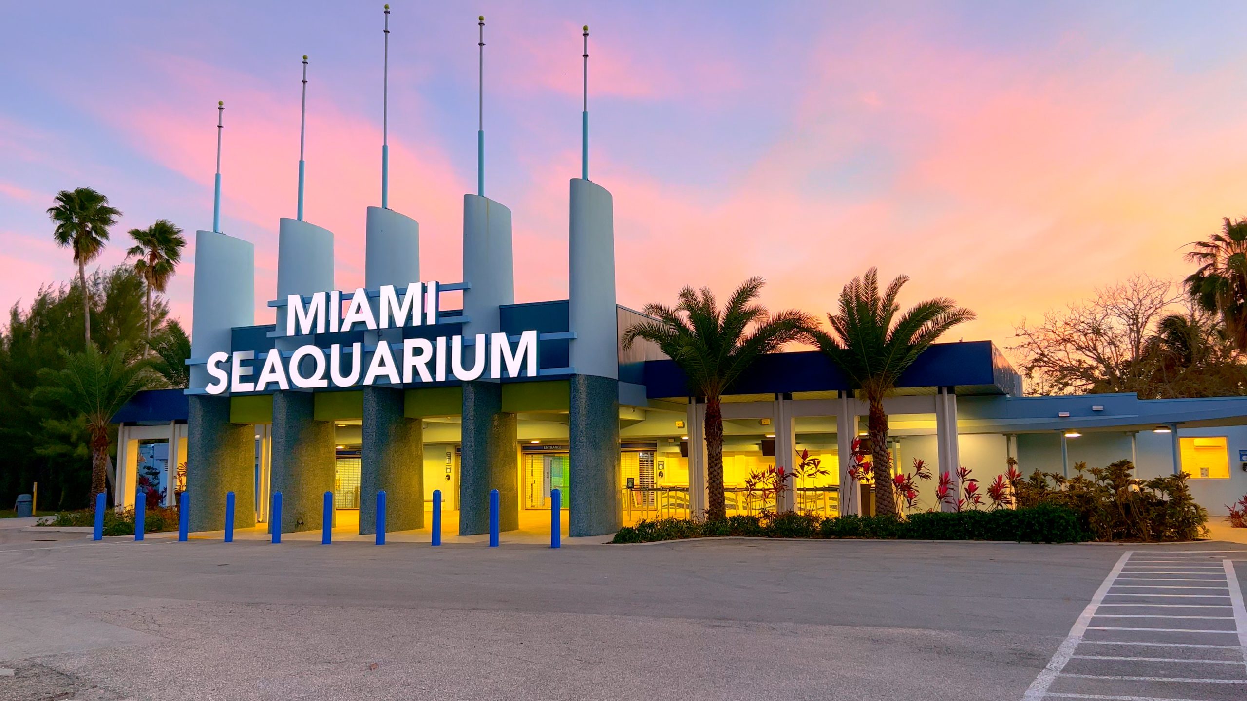 Miami Seaquarium at Key Biscayne MIAMI, UNITED STATES FEBRUARY 20, 2022