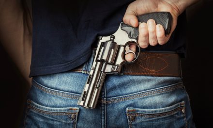 Violent Incident in Florida Highlights the Dangers of Living with a Gun Owner