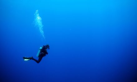 Braving the Depths: A Young Diver’s Harrowing Encounter with ‘The Bends’