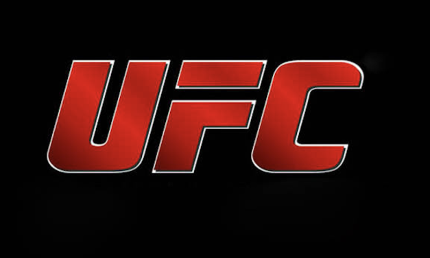 UFC 299