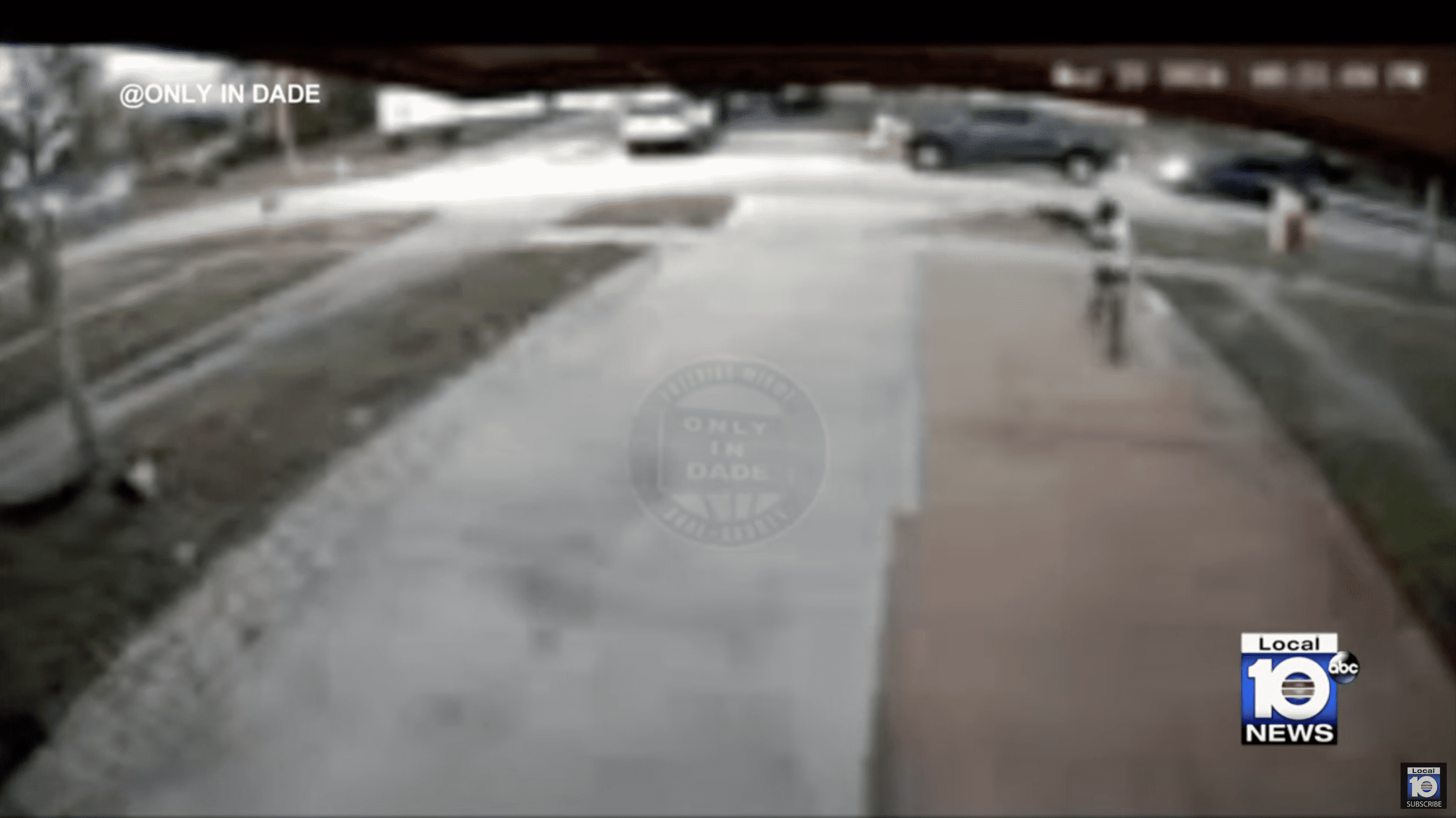 Book Machine Gun Experience in Las Vegas Machine gun experience miami