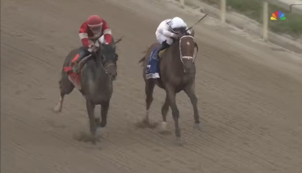 Horse Racing