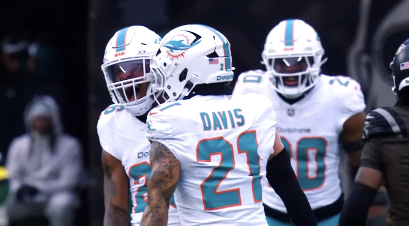 Dolphins