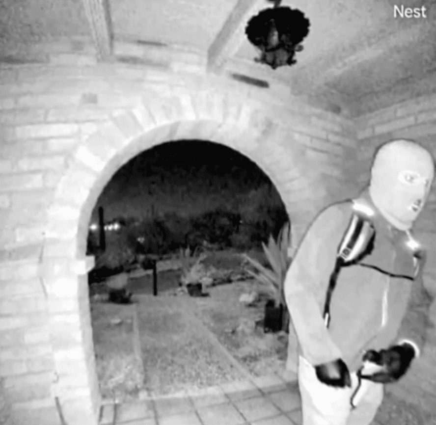 Nancy Guthrie video footage