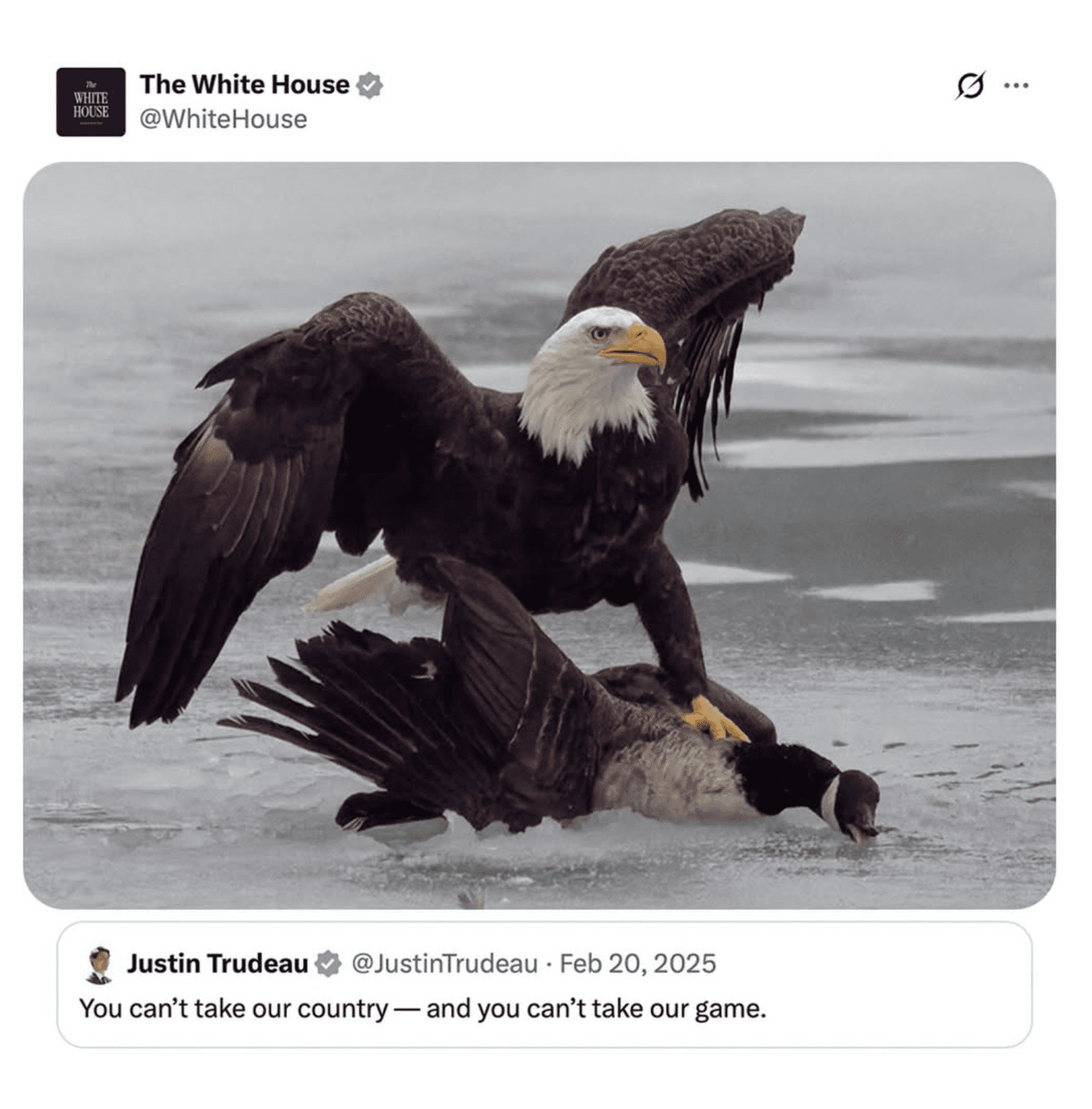 USA Hockey Meme USA Hockey Meme