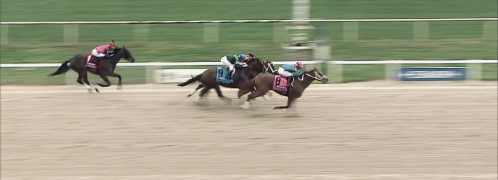 Tampa Bay Derby