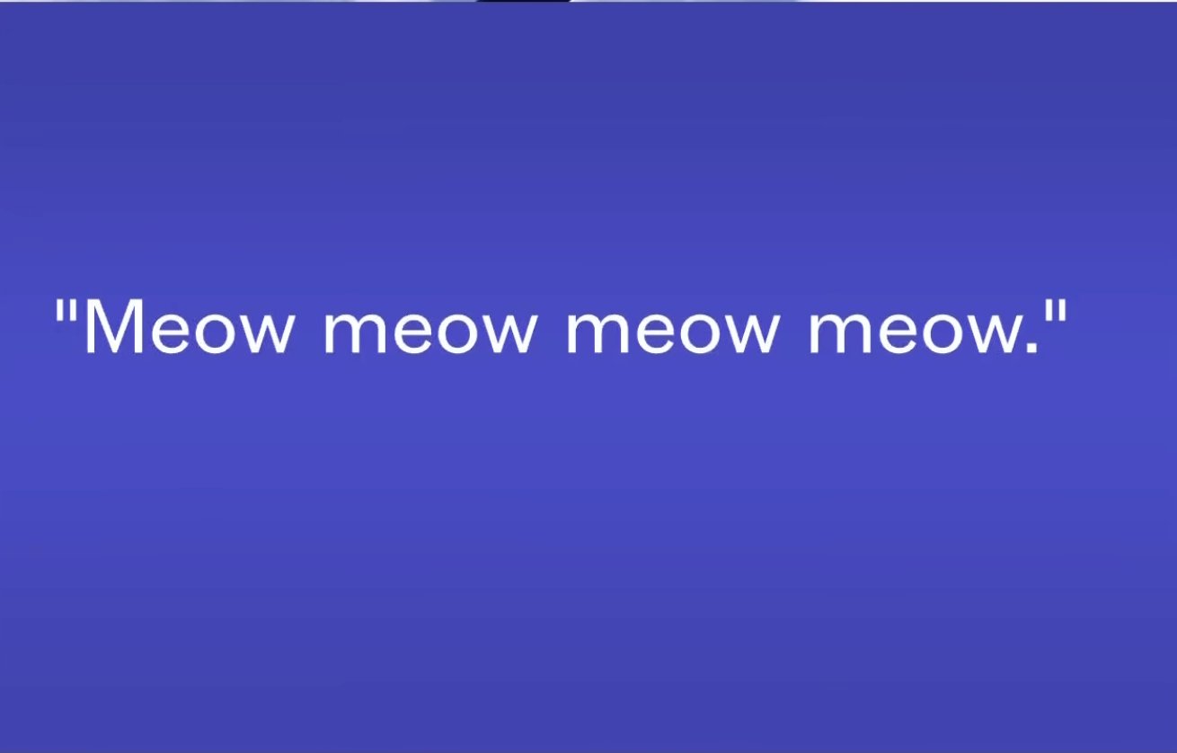 Pilots appear to ‘meow’ and ‘bark’