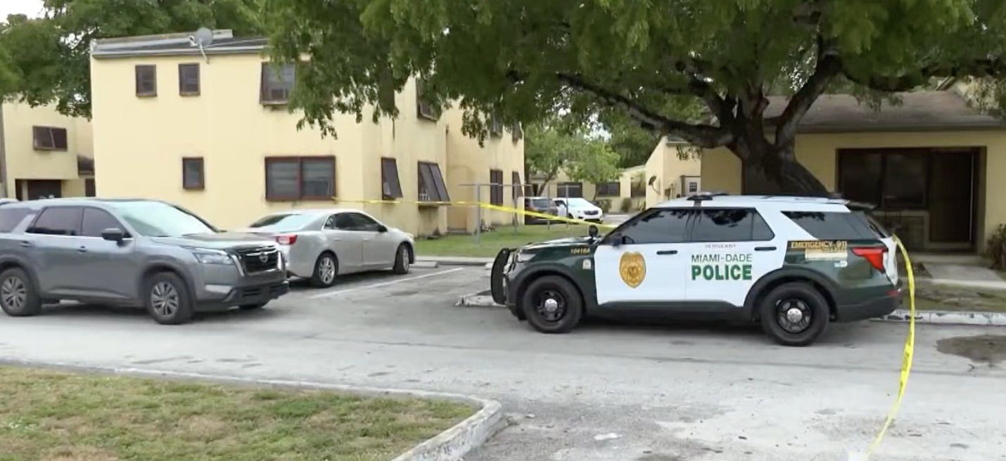 6-year-old child get access to his mother's gun, shoot himself