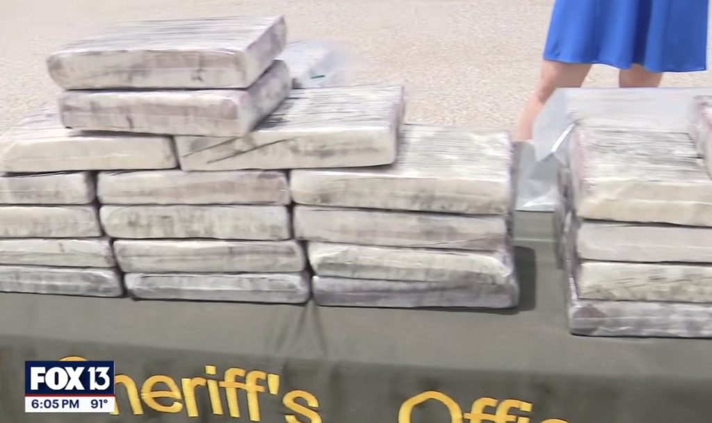 Pinellas County Drug Bust