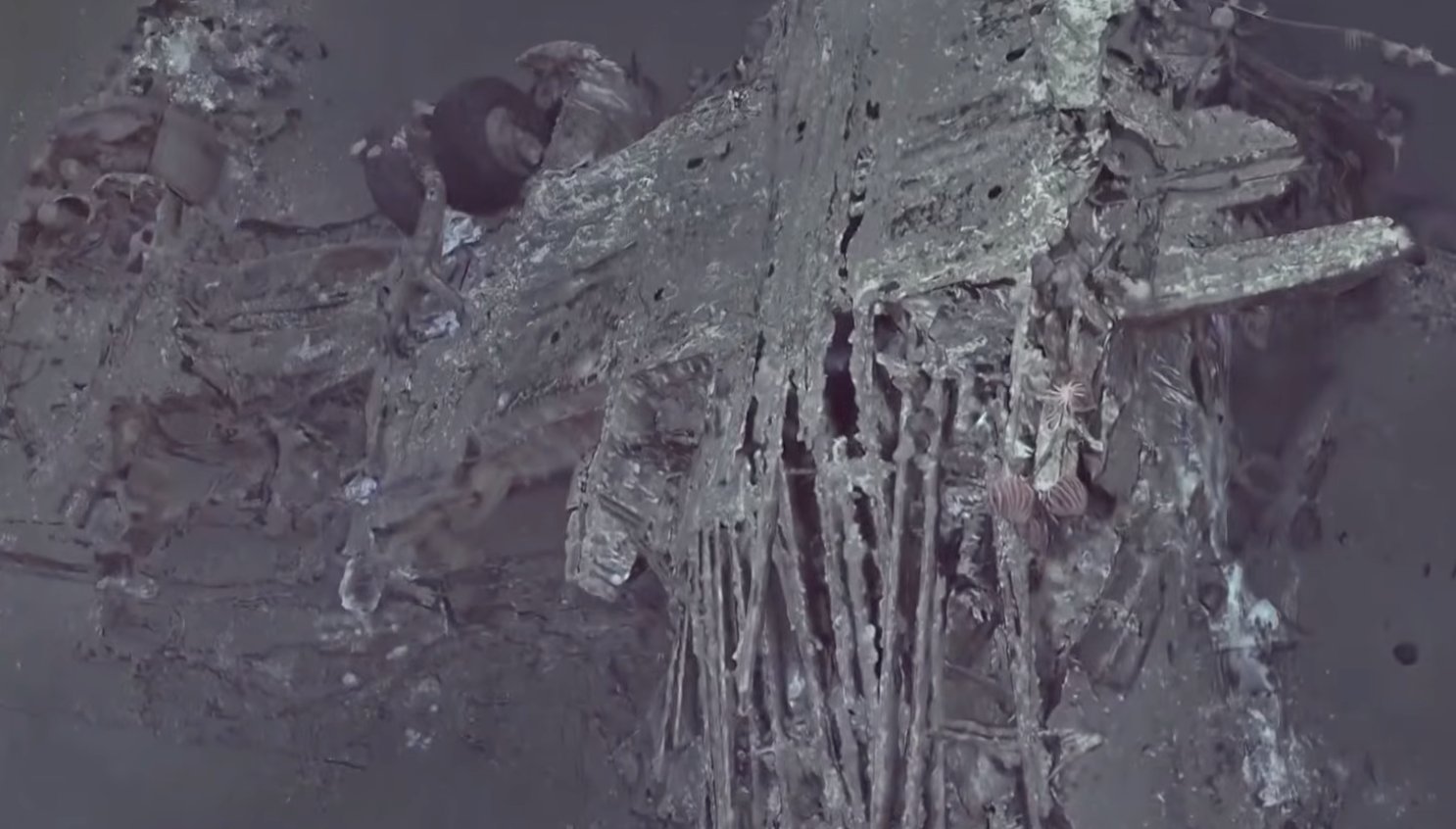 Pan Am Wreckage From 1952 Found