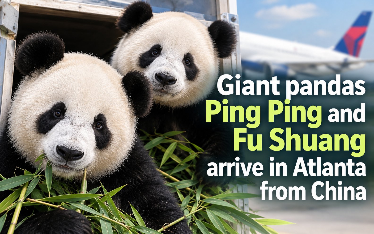 pandas Ping Ping and Fu Shuang