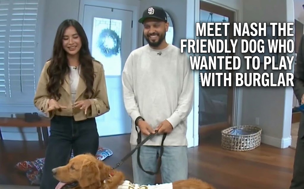 Nash the dog