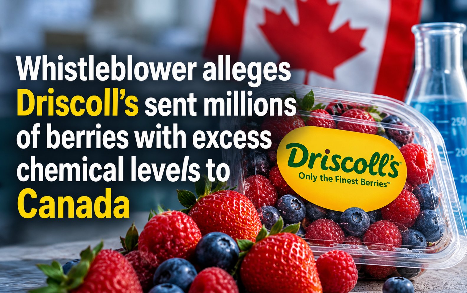 Driscoll berries