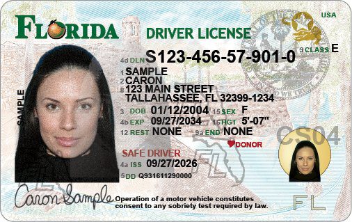 New Florida License